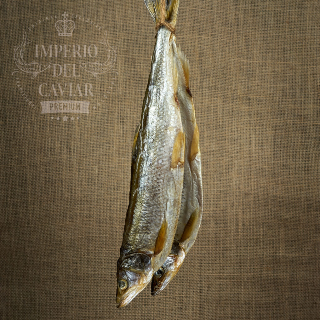 Eperlano (Osmerus eperlanus)