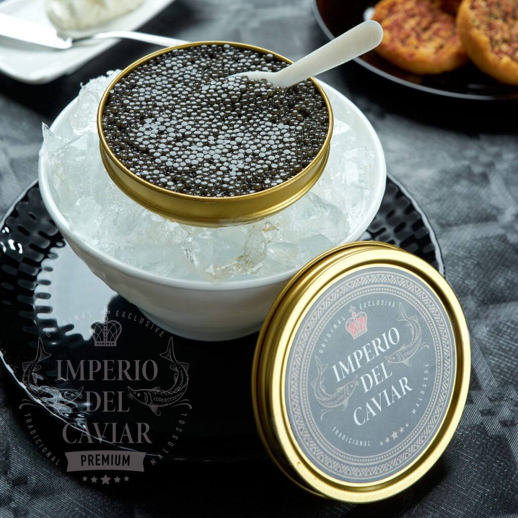 Baerii royal (Acipenser gueldenstaedtii)